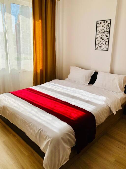 Joy City Stay Victoriei 7G-9 Timişoara Exterior foto