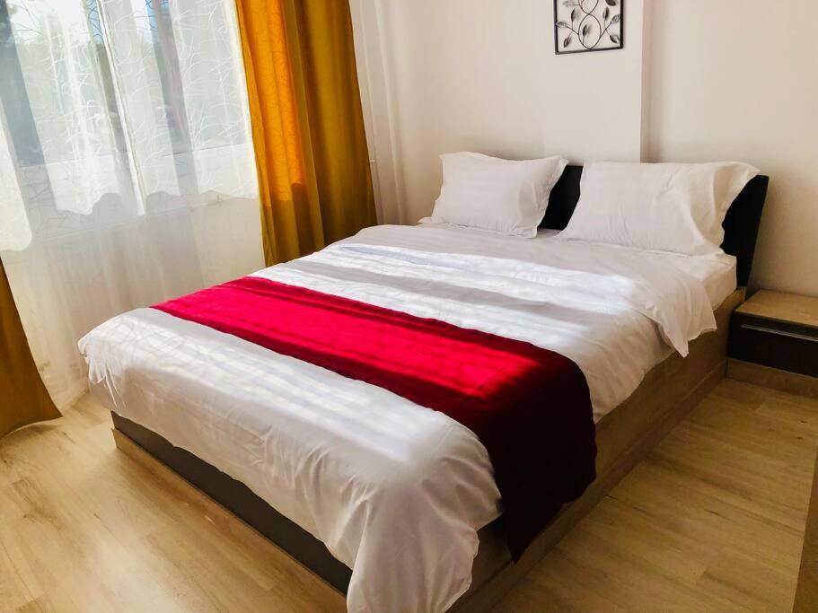 Joy City Stay Victoriei 7G-9 Timişoara Exterior foto